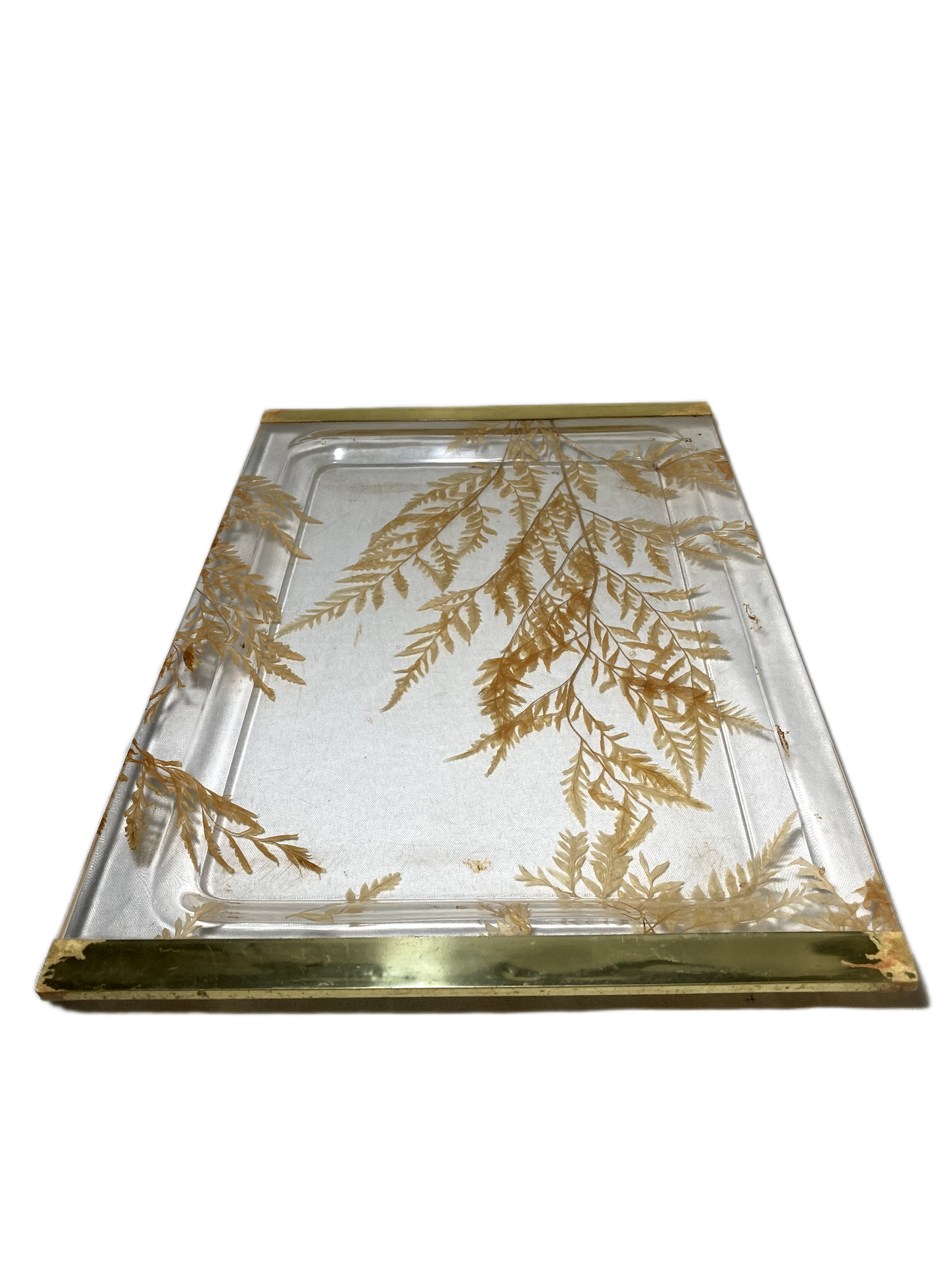 Bandeja Vintage com Folhas Naturais Desidratadas