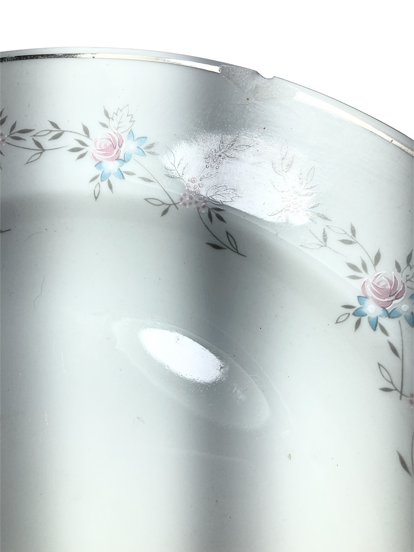 Sexteto de Pratos Fundos Floral Delicado – Porcelana Real Brasil - Imagem 4