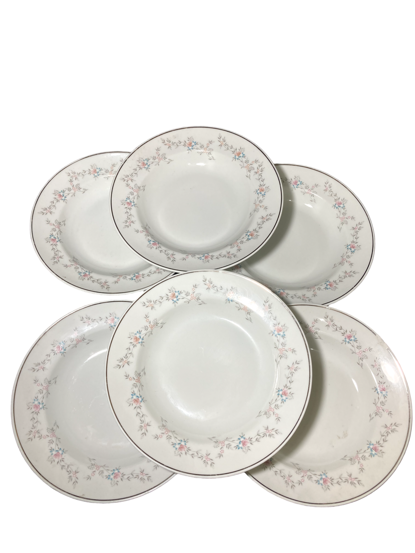 Sexteto de Pratos Fundos Floral Delicado – Porcelana Real Brasil - Imagem 2