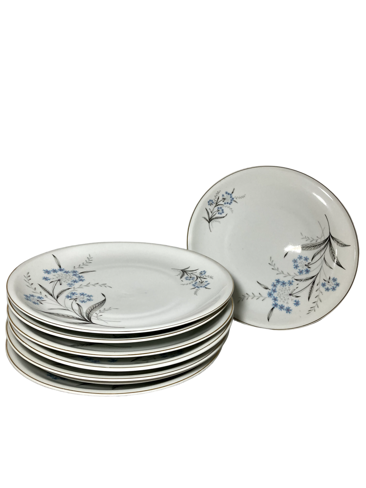 Oitavo de Pratos raso Renda Azul – Porcelana Schmidt Skandia